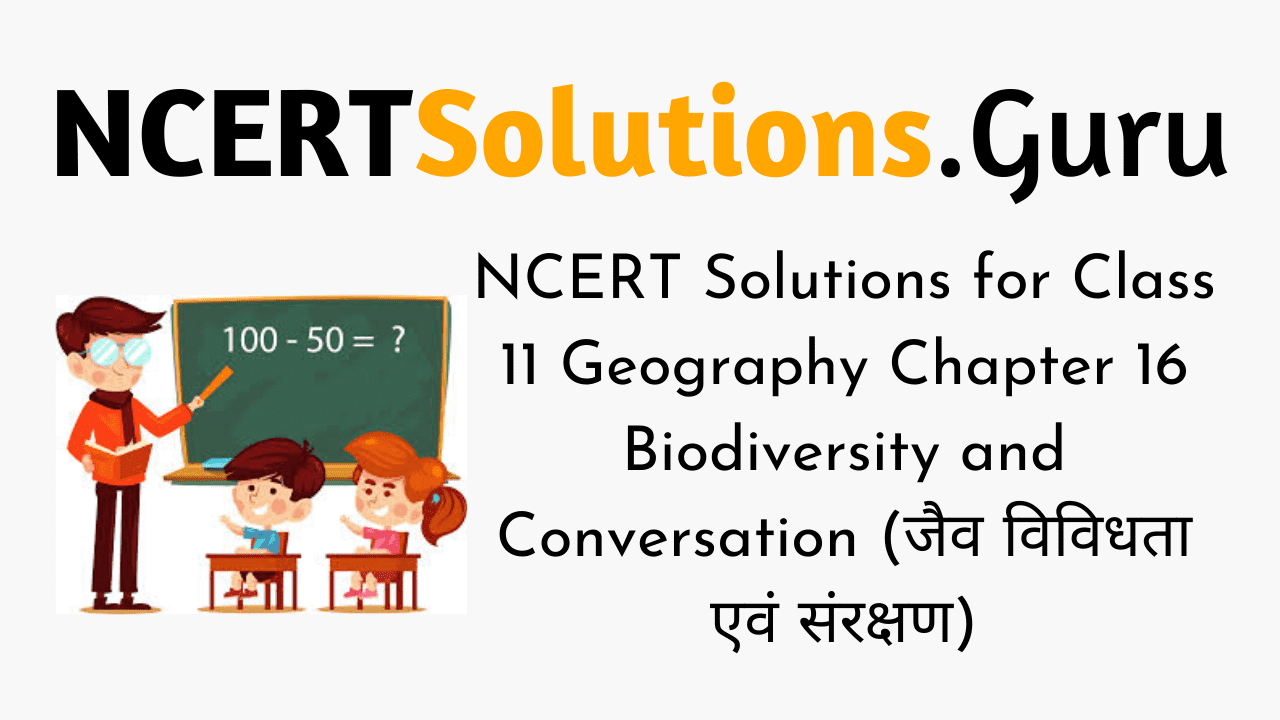 NCERT Solutions for Class 11 Geography Fundamentals of Physical Geography Chapter 16