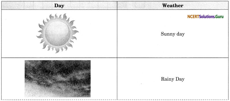 NCERT Solutions for Class 7 Social Science Geography Chapter 4 Air 2