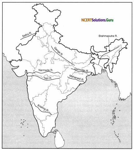 NCERT Solutions for Class 9 Social Science Geography Chapter 3 Drainage 1