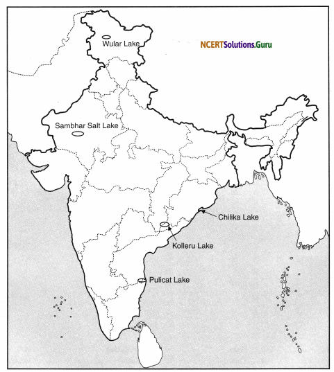 NCERT Solutions for Class 9 Social Science Geography Chapter 3 Drainage 2