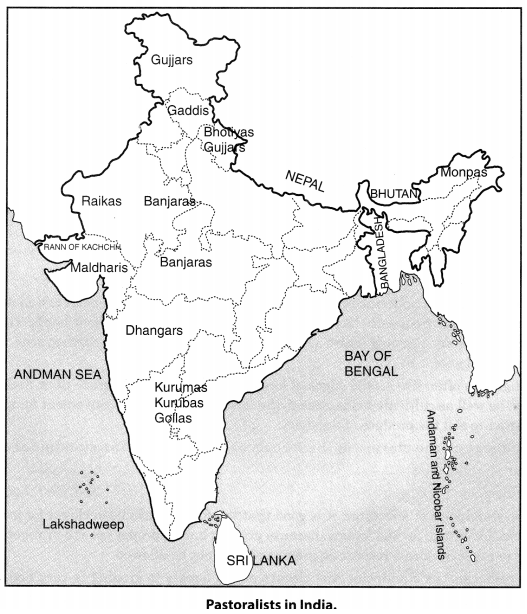 NCERT Solutions for Class 9 Social Science History Chapter 5 Pastoralists in the Modern World 1
