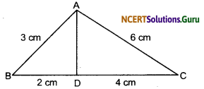 Triangles Class 10 Extra Questions Maths Chapter 6 with Solutions Answers 2