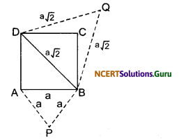 Triangles Class 10 Extra Questions Maths Chapter 6 with Solutions Answers 22