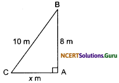 Triangles Class 10 Extra Questions Maths Chapter 6 with Solutions Answers 25