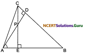 Triangles Class 10 Extra Questions Maths Chapter 6 with Solutions Answers 34