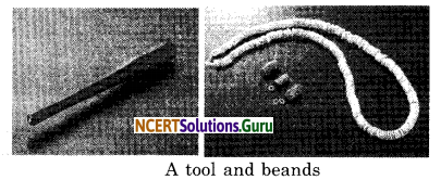 NCERT Solutions for Class 12 History Chapter 1 Bricks, Beads and Bones The Harappan Civilisation 1