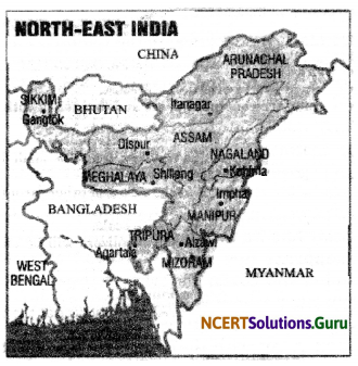NCERT Solutions for Class 12 Political Science Chapter 17 Regional Aspirations