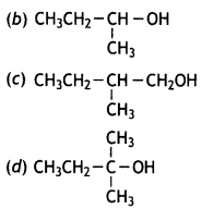 MCQ Questions for Class 12 Chemistry Chapter 10 Haloalkanes and Haloarenes with Answers 2