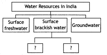 MCQ Questions for Class 12 Geography Chapter 6 Water Resources with Answers 2
