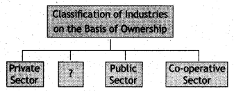 MCQ Questions for Class 12 Geography Chapter 8 Manufacturing Industries with Answers 2