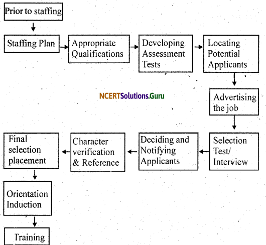 NCERT Solutions for Class 11 Business Studies Chapter 6 Staffing