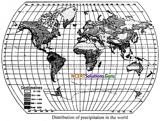 NCERT Solutions for Class 11 Geography Chapter 12 World Climate and Climate Change 1