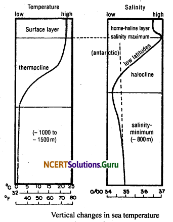 NCERT Solutions for Class 11 Geography Chapter 13 Water (Oceans) 1