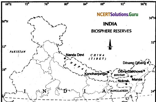 NCERT Solutions for Class 11 Geography Chapter 5 Natural Vegetation 1