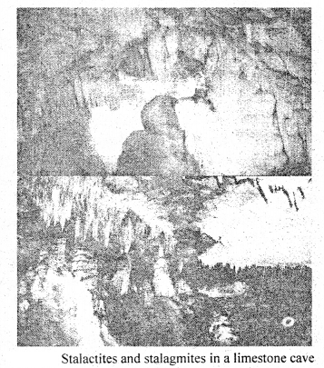 NCERT Solutions for Class 11 Geography Chapter 7 Landforms and their Evolution 1