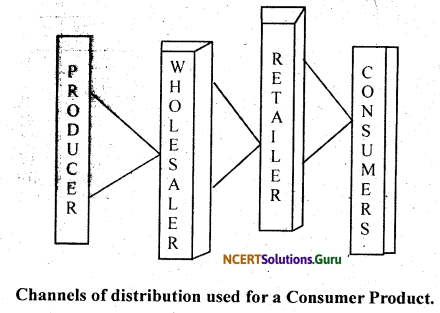 NCERT Solutions for Class 12 Business Studies Chapter 11 Marketing 8