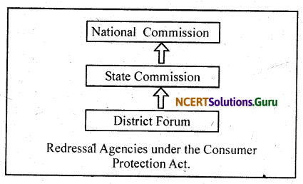 NCERT Solutions for Class 12 Business Studies Chapter 12 Consumer Protection