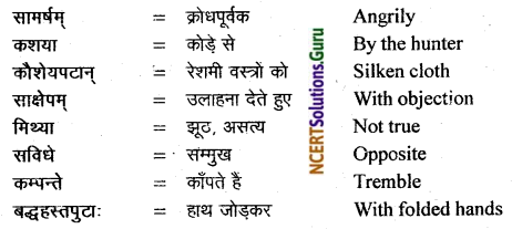 Bhaswati Class 11 Solutions Chapter 9 वस्त्रविक्रयः Summary Translation in Hindi and English 4