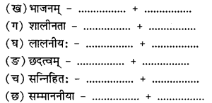 NCERT Solutions for Class 10 Sanskrit Shemushi Chapter 4 शिशुलालनम् 5
