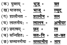 NCERT Solutions for Class 10 Sanskrit Shemushi Chapter 4 शिशुलालनम् 6