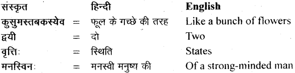 NCERT Solutions for Class 11 Sanskrit Bhaswati Chapter 3 सूक्तिसुधा 5