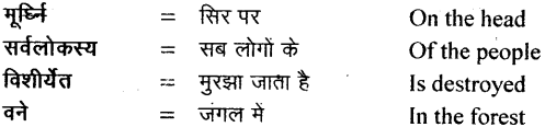 NCERT Solutions for Class 11 Sanskrit Bhaswati Chapter 3 सूक्तिसुधा 6