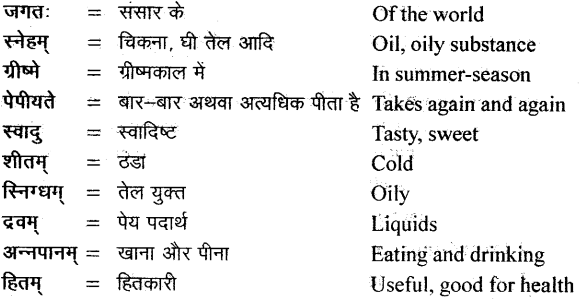 NCERT Solutions for Class 11 Sanskrit Bhaswati Chapter 4 ऋतुचर्या 10