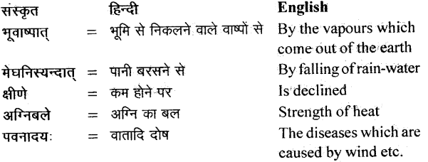NCERT Solutions for Class 11 Sanskrit Bhaswati Chapter 4 ऋतुचर्या 12
