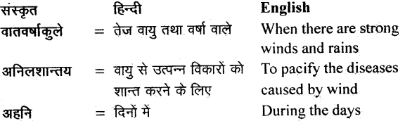 NCERT Solutions for Class 11 Sanskrit Bhaswati Chapter 4 ऋतुचर्या 13