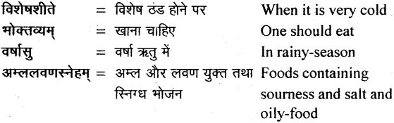 NCERT Solutions for Class 11 Sanskrit Bhaswati Chapter 4 ऋतुचर्या 14