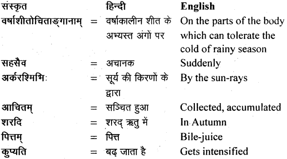 NCERT Solutions for Class 11 Sanskrit Bhaswati Chapter 4 ऋतुचर्या 15