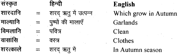 NCERT Solutions for Class 11 Sanskrit Bhaswati Chapter 4 ऋतुचर्या 17