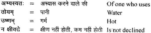 NCERT Solutions for Class 11 Sanskrit Bhaswati Chapter 4 ऋतुचर्या 2