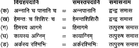 NCERT Solutions for Class 11 Sanskrit Bhaswati Chapter 4 ऋतुचर्या 21