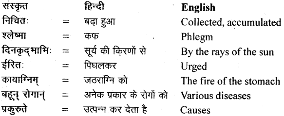 NCERT Solutions for Class 11 Sanskrit Bhaswati Chapter 4 ऋतुचर्या 7