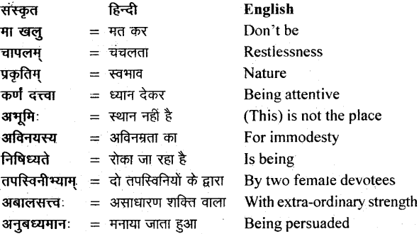 NCERT Solutions for Class 11 Sanskrit Bhaswati Chapter 5 वीरःसर्वदमन 3