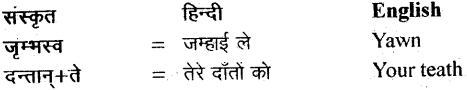 NCERT Solutions for Class 11 Sanskrit Bhaswati Chapter 5 वीरःसर्वदमन 5
