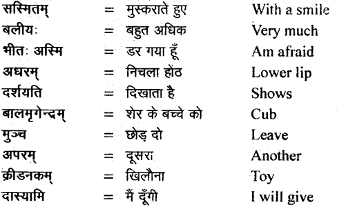 NCERT Solutions for Class 11 Sanskrit Bhaswati Chapter 5 वीरःसर्वदमन 7