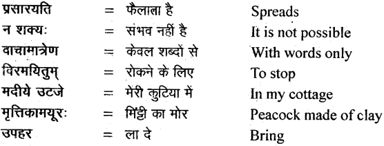 NCERT Solutions for Class 11 Sanskrit Bhaswati Chapter 5 वीरःसर्वदमन 8