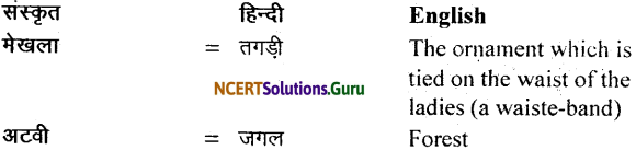 NCERT Solutions for Class 11 Sanskrit Bhaswati Chapter 6 शुकशावकोदन्तः 1