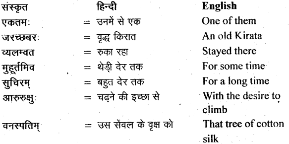 NCERT Solutions for Class 11 Sanskrit Bhaswati Chapter 6 शुकशावकोदन्तः 10