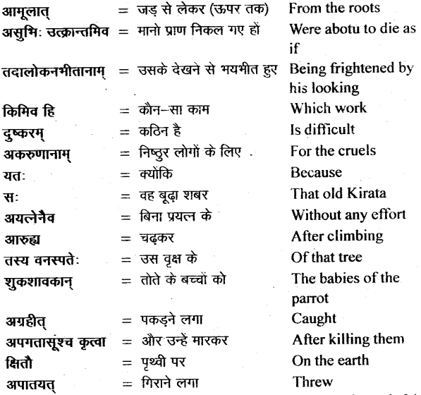 NCERT Solutions for Class 11 Sanskrit Bhaswati Chapter 6 शुकशावकोदन्तः 11