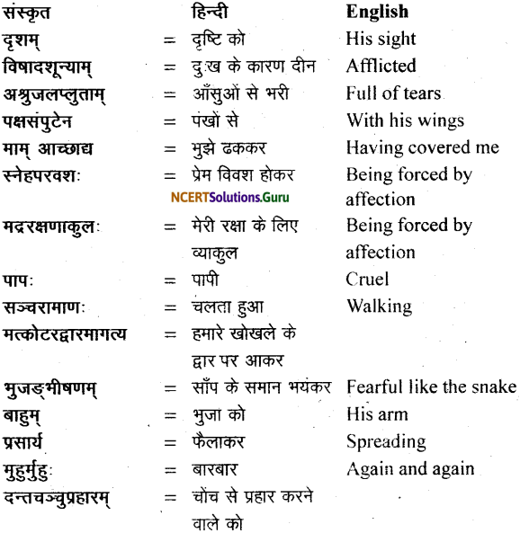 NCERT Solutions for Class 11 Sanskrit Bhaswati Chapter 6 शुकशावकोदन्तः 12