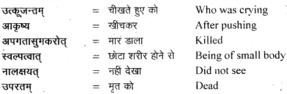 NCERT Solutions for Class 11 Sanskrit Bhaswati Chapter 6 शुकशावकोदन्तः 13