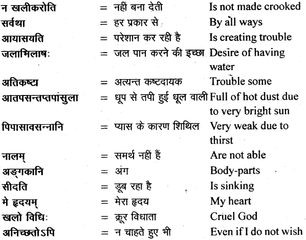NCERT Solutions for Class 11 Sanskrit Bhaswati Chapter 6 शुकशावकोदन्तः 16
