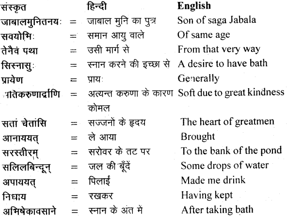 NCERT Solutions for Class 11 Sanskrit Bhaswati Chapter 6 शुकशावकोदन्तः 17