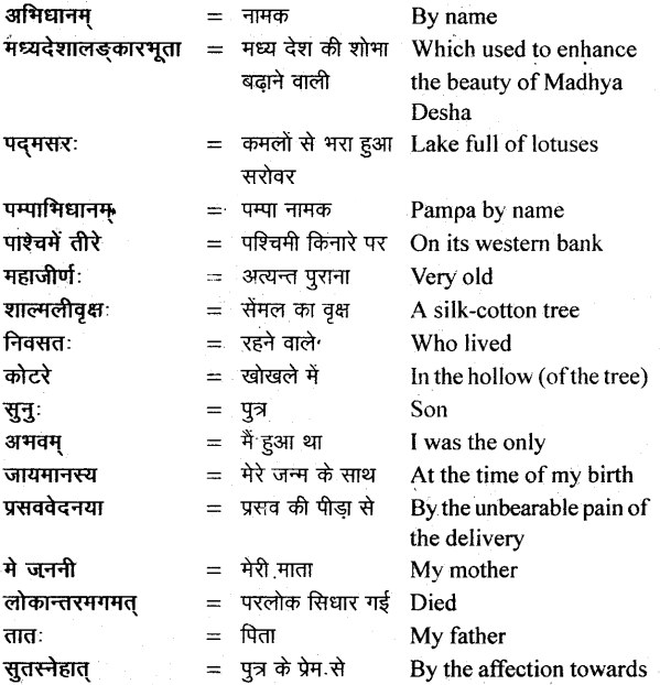 NCERT Solutions for Class 11 Sanskrit Bhaswati Chapter 6 शुकशावकोदन्तः 2
