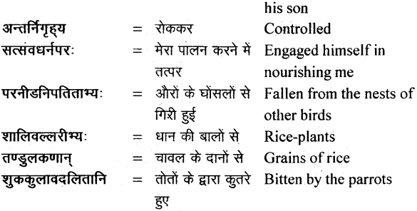 NCERT Solutions for Class 11 Sanskrit Bhaswati Chapter 6 शुकशावकोदन्तः 3