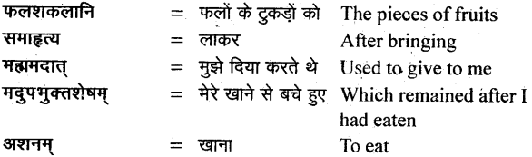 NCERT Solutions for Class 11 Sanskrit Bhaswati Chapter 6 शुकशावकोदन्तः 4