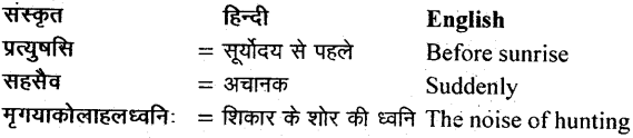 NCERT Solutions for Class 11 Sanskrit Bhaswati Chapter 6 शुकशावकोदन्तः 5
